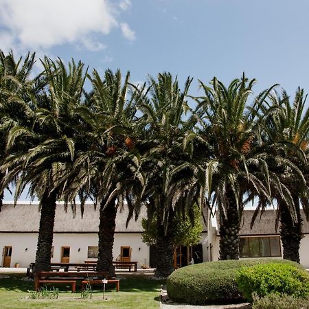 Springfontein Wine Estate Otel Stanford Dış mekan fotoğraf