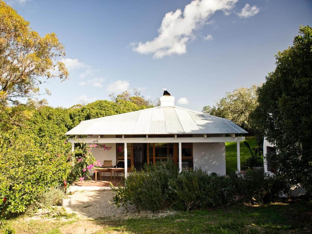 Springfontein Wine Estate Otel Stanford Oda fotoğraf