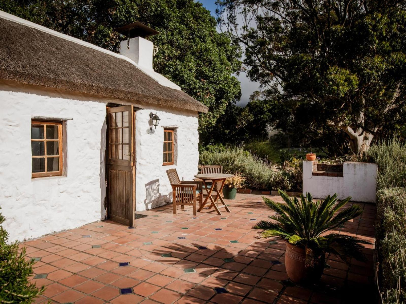 Springfontein Wine Estate Otel Stanford Dış mekan fotoğraf
