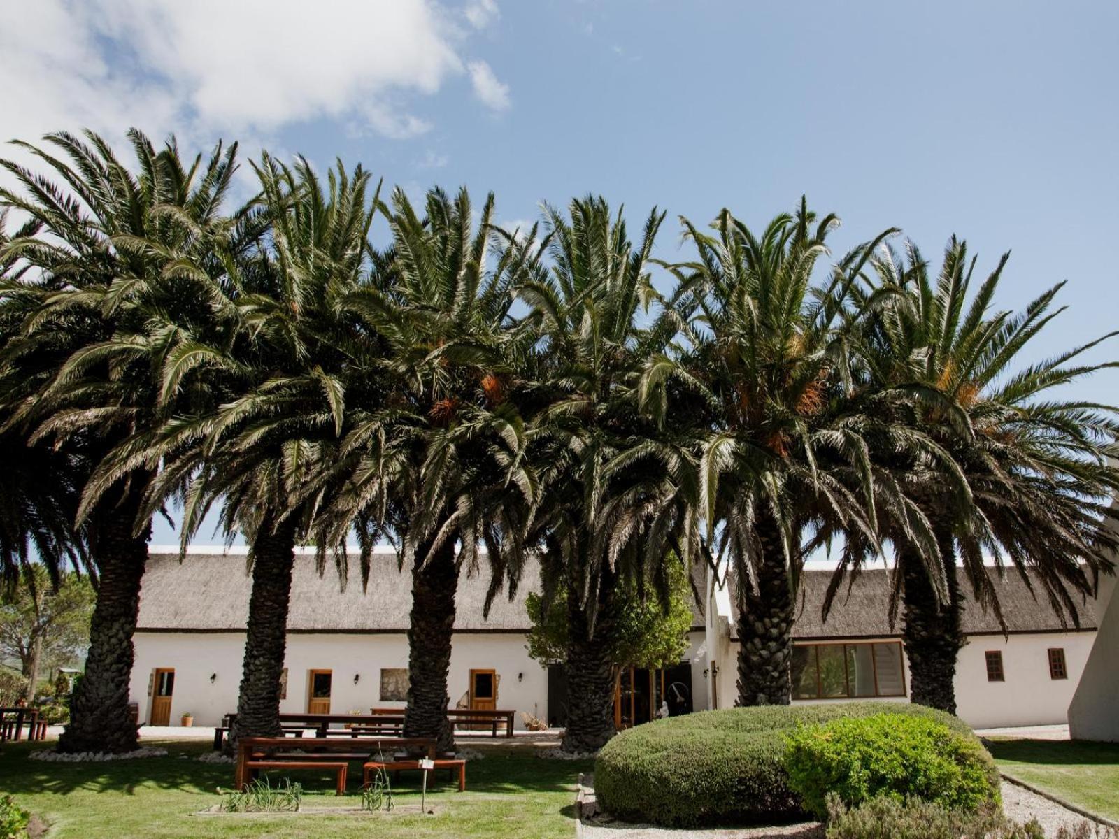 Springfontein Wine Estate Otel Stanford Dış mekan fotoğraf