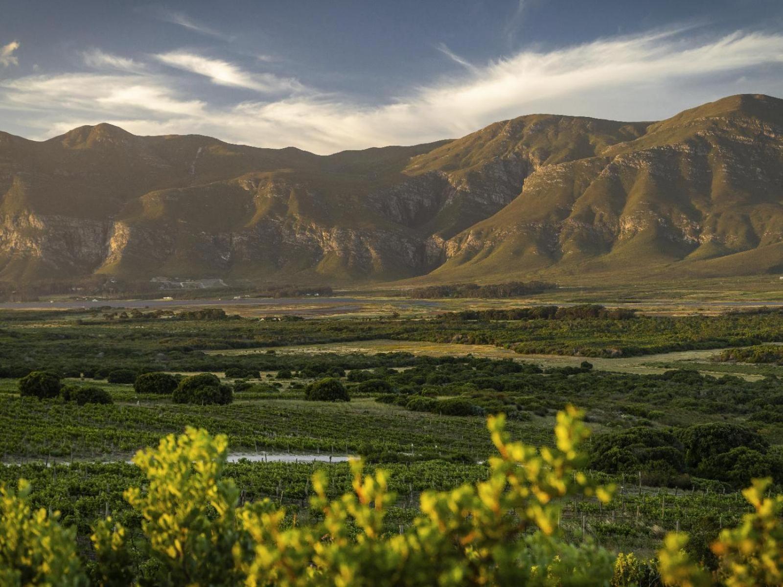 Springfontein Wine Estate Otel Stanford Dış mekan fotoğraf
