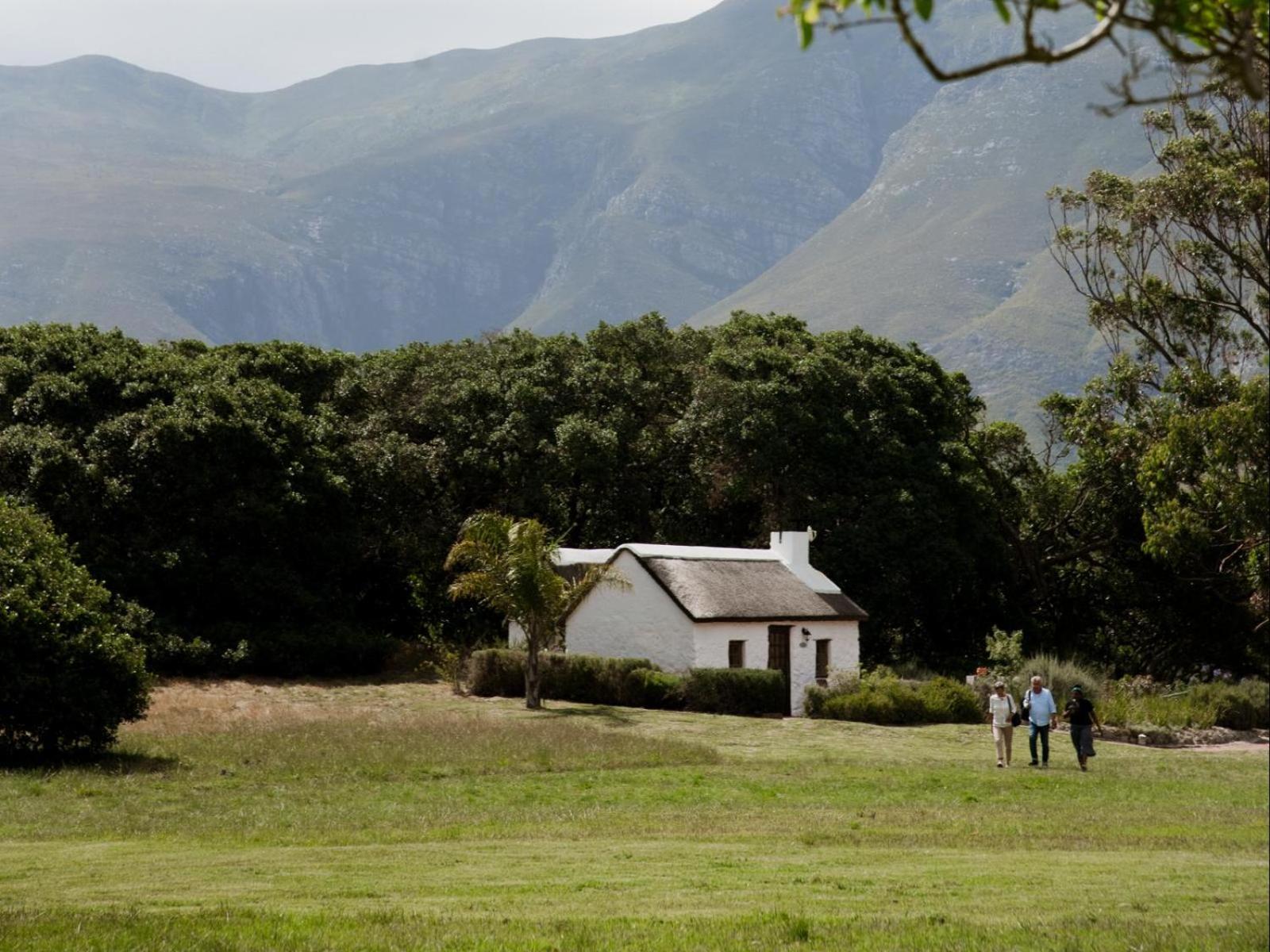 Springfontein Wine Estate Otel Stanford Dış mekan fotoğraf