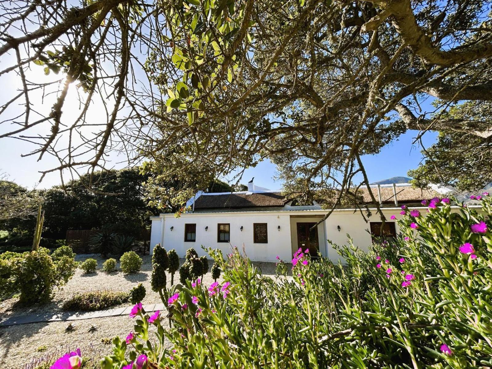 Springfontein Wine Estate Otel Stanford Dış mekan fotoğraf